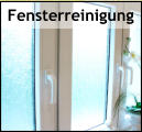 Fensterreinigung
