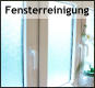 Fensterreinigung