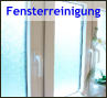 Fensterreinigung