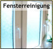 Fensterreinigung