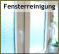 Fensterreinigung